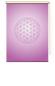 Preview: Extartiqe Duschrollo  Blume des Lebens brombeere
